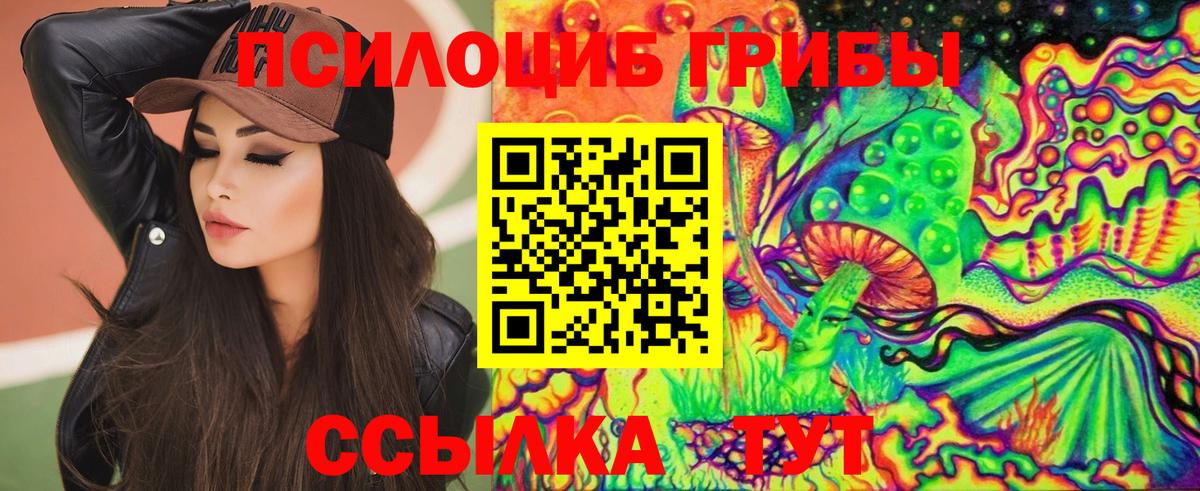 Кизилюрт  Псилоцибиновые грибы ЛСД  Вход с VPN 