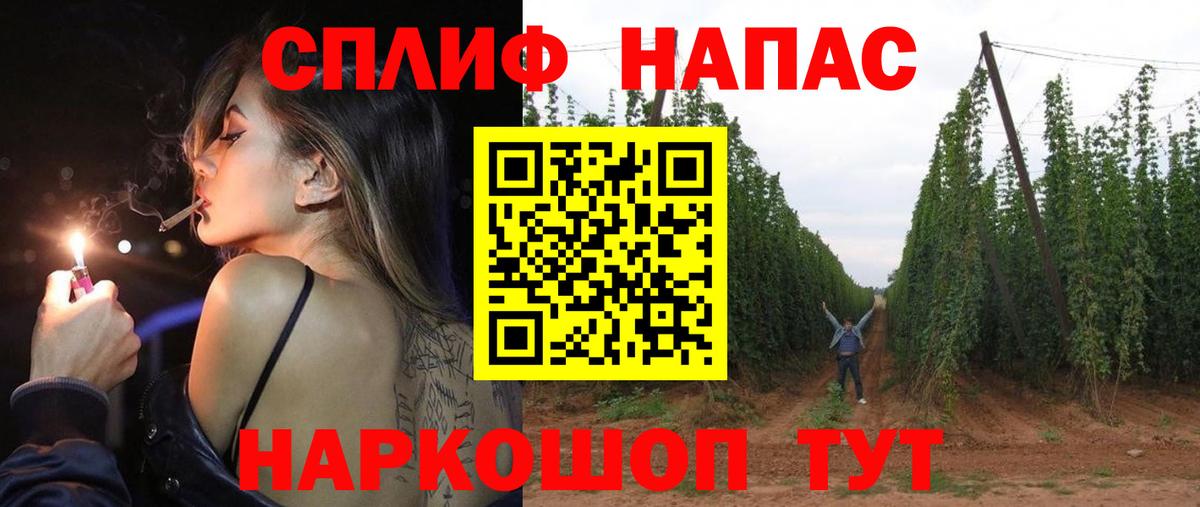 Кизилюрт  Бошки марихуана сатива  Канабис Ganja  МАРИХУАНА AK-47  Марихуана THC 21%  Вход с VPN 